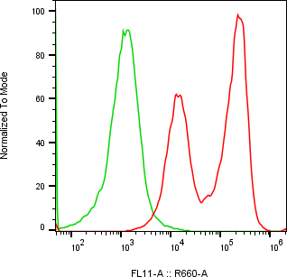 Rabbit-anti GDNF monoclonal antibody