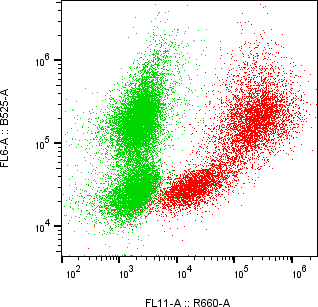 Rabbit-anti IFNGR1 monoclonal antibody