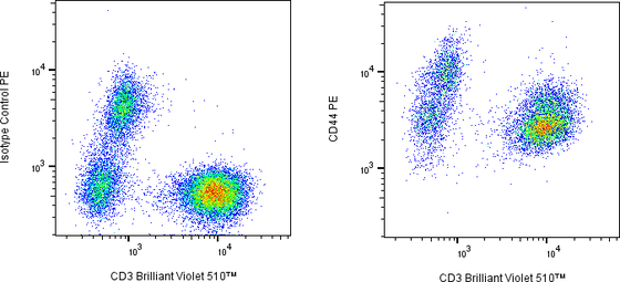 Rabbit-anti CD44 monoclonal antibody