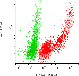 Rabbit-anti SPINK13 monoclonal antibody