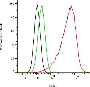 Rabbit-anti COL3A1 monoclonal antibody