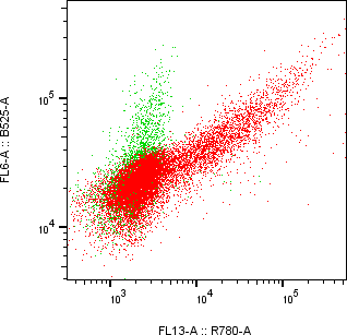 Rabbit-anti CDH16 monoclonal antibody