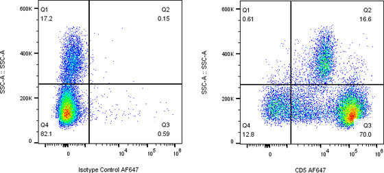 Rabbit-anti CD5 monoclonal antibody