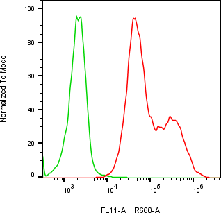 Rabbit-anti CPXM2 monoclonal antibody