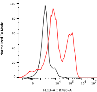 Rabbit-anti AFP monoclonal antibody