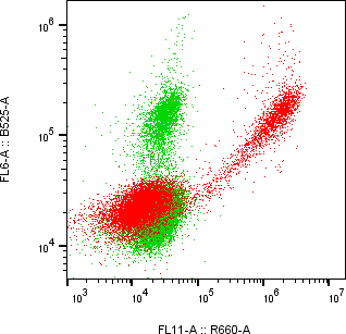 Rabbit-anti TFF2 monoclonal antibody