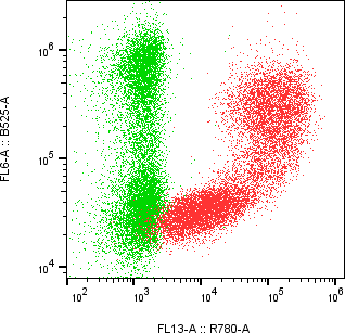 Rabbit-anti CA9 monoclonal antibody
