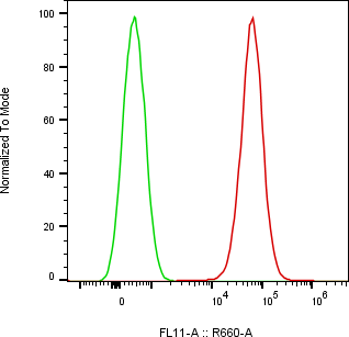 Rabbit-anti HAVCR1 monoclonal antibody