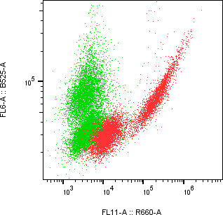 Rabbit-anti RAMP1 monoclonal antibody