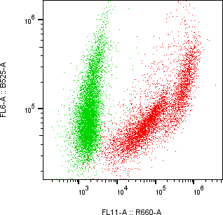 Rabbit-anti BTC monoclonal antibody