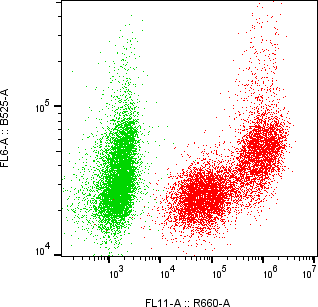 Rabbit-anti MMP3 monoclonal antibody