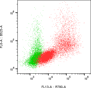 Rabbit-anti SDC1 monoclonal antibody