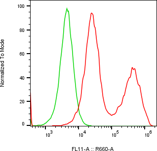 Rabbit-anti PSG5 monoclonal antibody