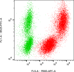Rabbit-anti REG1B monoclonal antibody