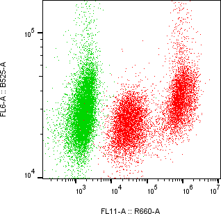 Rabbit-anti CD83 monoclonal antibody