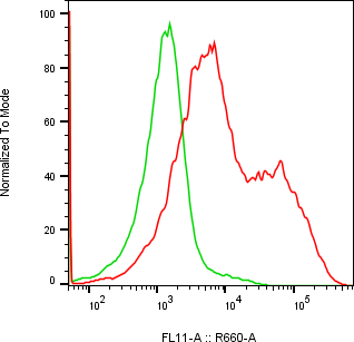 Rabbit-anti GNRH2 monoclonal antibody