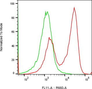Rabbit-anti GDNF monoclonal antibody