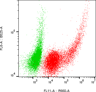 Rabbit-anti SERPINA5 monoclonal antibody