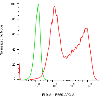 Rabbit-anti SFTPD monoclonal antibody