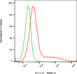Rabbit-anti CDSN monoclonal antibody