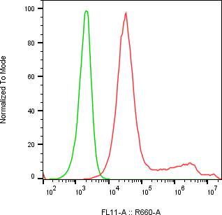 Rabbit-anti ORM1 monoclonal antibody