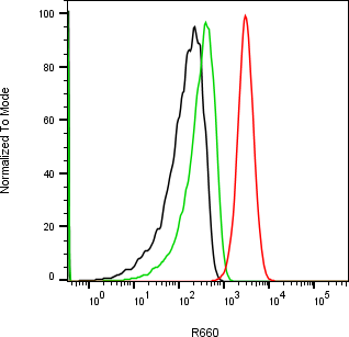 Rabbit-anti CLU monoclonal antibody
