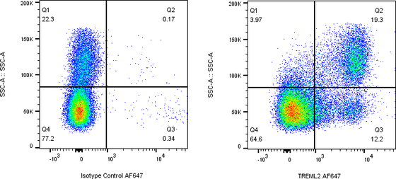 Rabbit-anti TREML2 monoclonal antibody