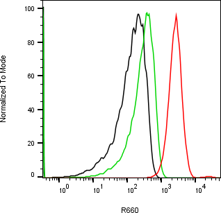Rabbit-anti IL18BP monoclonal antibody