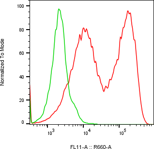 Rabbit-anti CST5 monoclonal antibody
