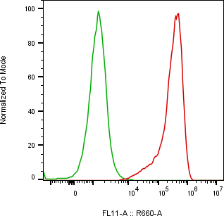 Rabbit-anti ALCAM monoclonal antibody
