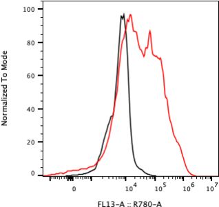 Rabbit-anti CGA monoclonal antibody