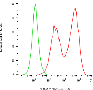 Rabbit-anti PTGDS monoclonal antibody