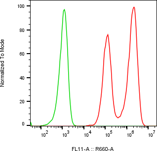 Rabbit-anti BAMBI monoclonal antibody
