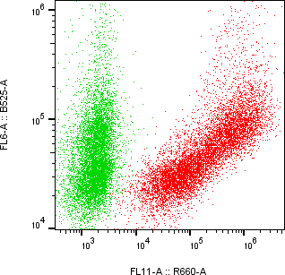 Rabbit-anti HEPACAM monoclonal antibody