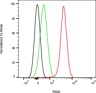 Rabbit-anti APOE monoclonal antibody
