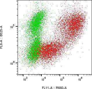 Rabbit-anti EPYC monoclonal antibody