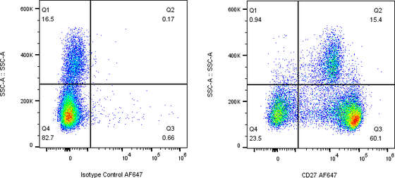 Rabbit-anti CD27 monoclonal antibody