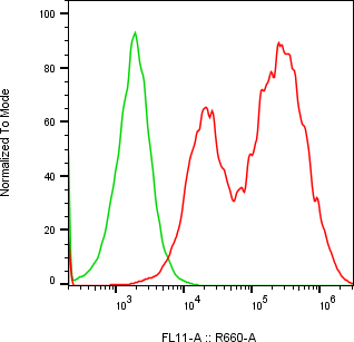 Rabbit-anti SPINK2 monoclonal antibody