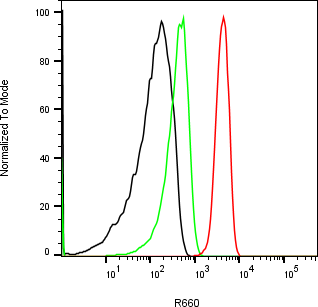 Rabbit-anti KLK6 monoclonal antibody