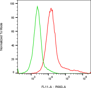 Rabbit-anti PDPN monoclonal antibody