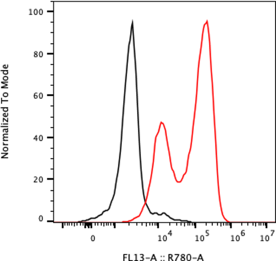 Rabbit-anti VTN monoclonal antibody