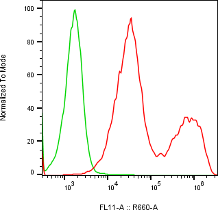 Rabbit-anti JAM3 monoclonal antibody