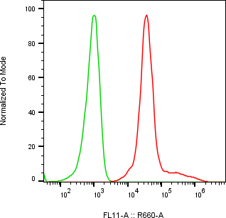 Rabbit-anti SPN monoclonal antibody