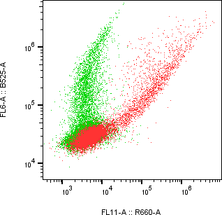 Rabbit-anti IL23R monoclonal antibody