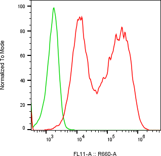 Rabbit-anti INSL4 monoclonal antibody