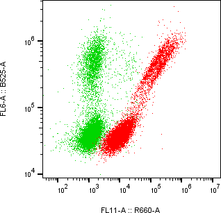 Rabbit-anti PVRL2 monoclonal antibody
