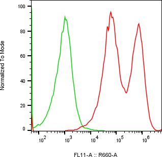 Rabbit-anti CST6 monoclonal antibody