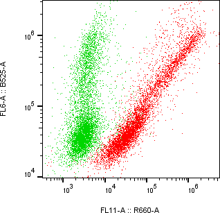 Rabbit-anti LRRN1 monoclonal antibody
