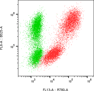 Rabbit-anti LIF monoclonal antibody
