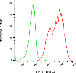 Rabbit-anti CGB2 monoclonal antibody